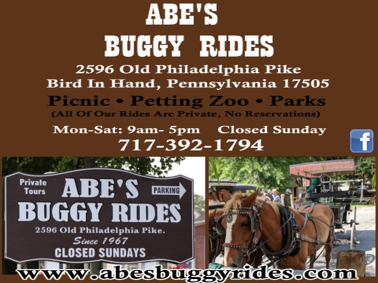 abe's buggy ride