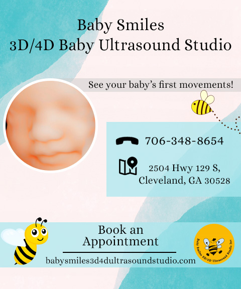 BABY SMILES 3D/4D ULTRASOUND STUDIO, HALL COUNTY, GA