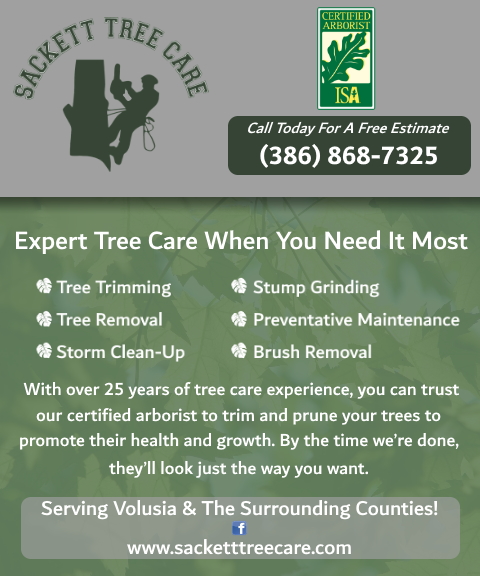 sackett tree service, lake county, fl