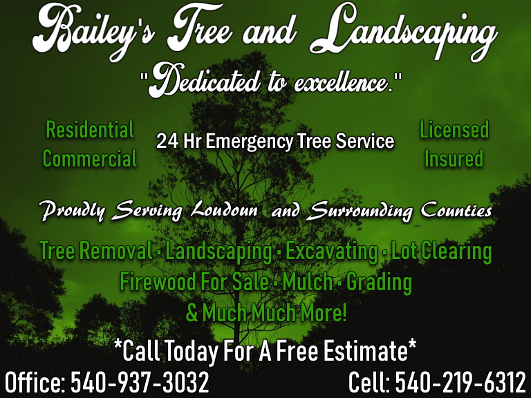 bailey tree & landscaping, loudoun county, va
