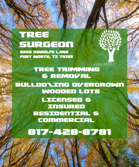 tree surgeon, parker county, tx
