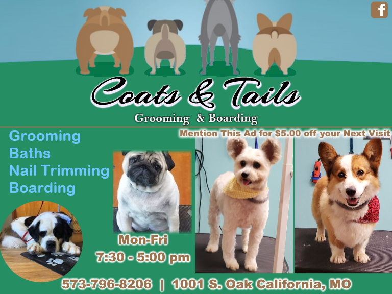 coats and tails grooming and boarding, cole county, mo