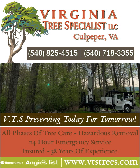 virginia tree specialist, louisa county, va