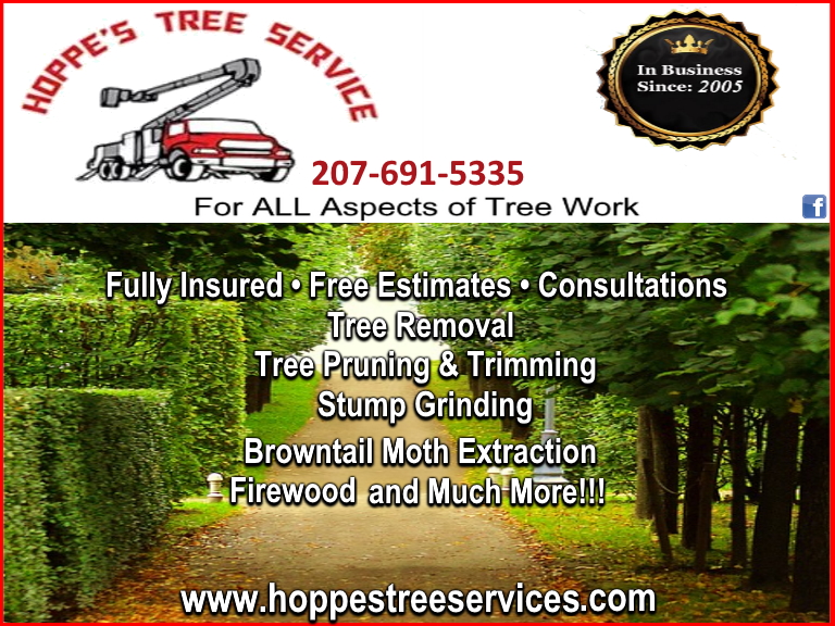 hoppes tree service, knox county, me