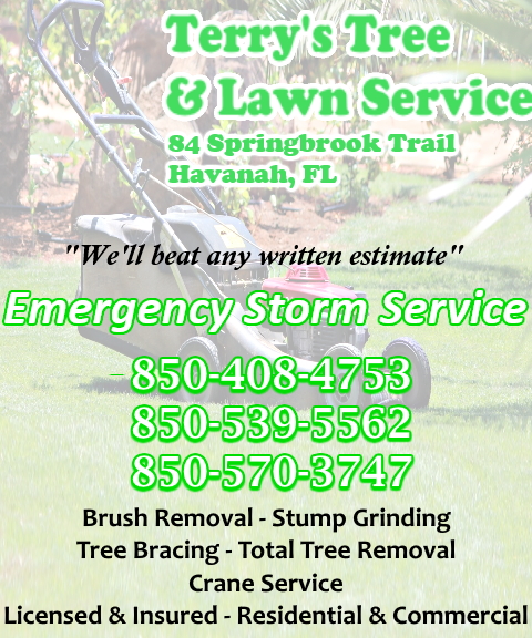 terrys tree and lawn service, leon county, fl
