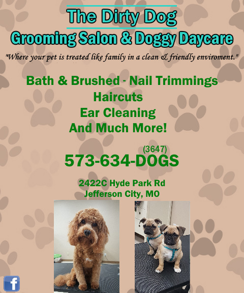 the dirty dog grooming salon and doggy daycare, cole county, mo