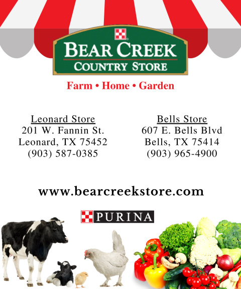 bear creek country store, fannin county, tx