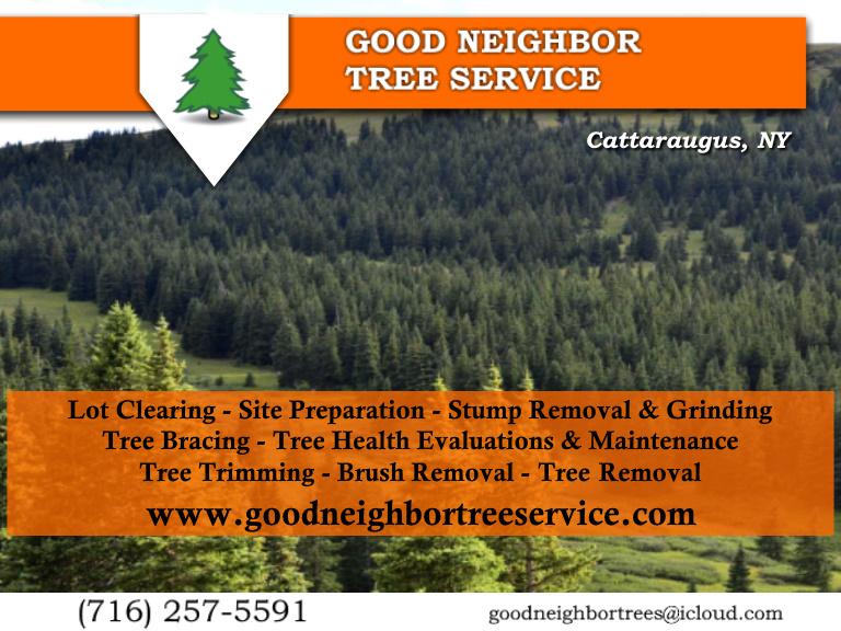 good neighbor tree service, cattaraugus county, ny