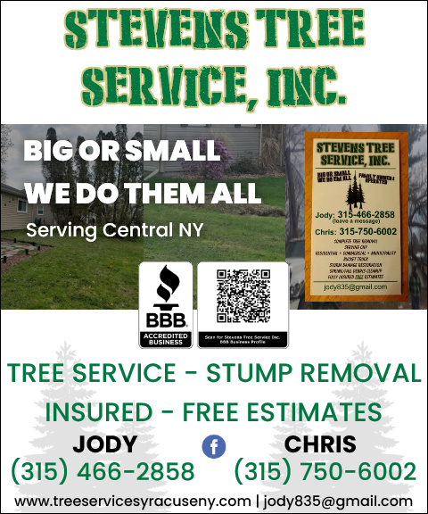 stevens tree service, onodaga county, ny