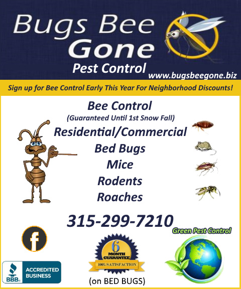 BUGS BEE GONE PEST CONTROL, oneida county, ny