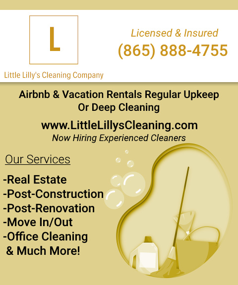 LITTLE LILLY’S CLEANING COMPANY, blount county, tn
