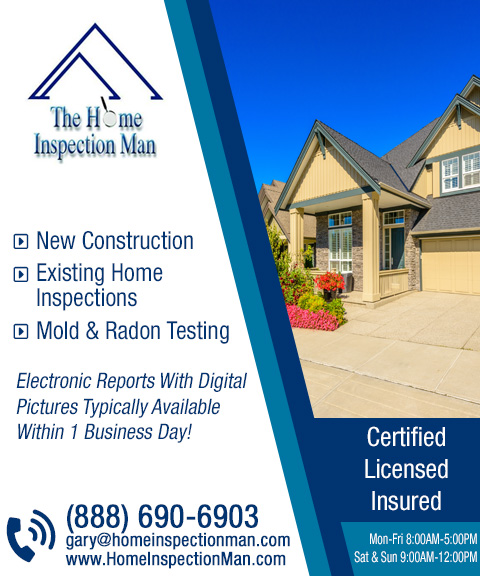 THE HOME INSPECTION MAN, will county, il