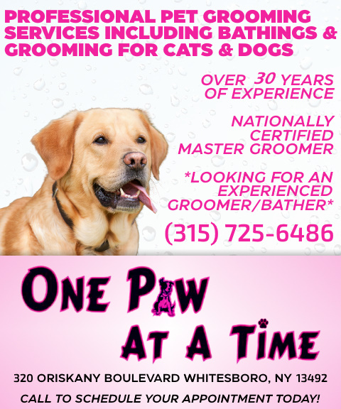 ONE PAW AT A TIME, ONEIDA COUNTY, NY