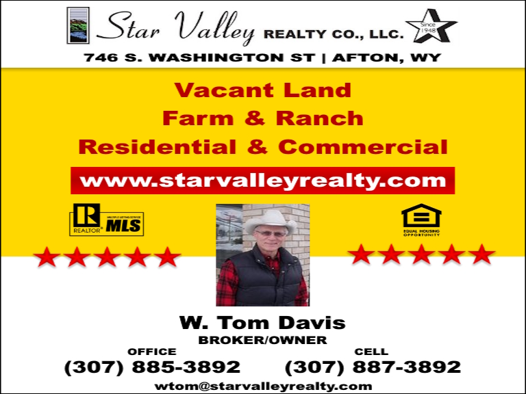 TOM DAVIS STAR VALLEY REALTY CO, LINCOLN COUNTY, WY