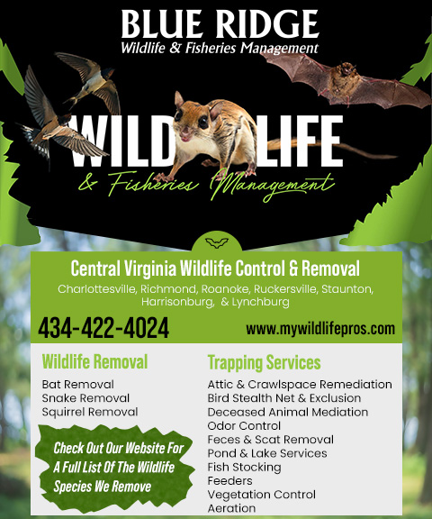 BLUE RIDGE WILDLIFE & FISHERIES MANAGEMENT, ALBEMARLE COUNTY, VA