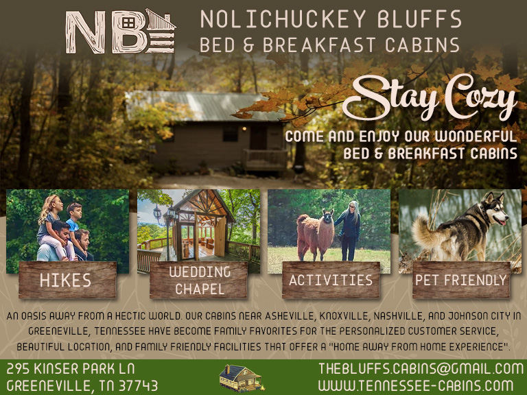 Nolichuckey Bluff Bed and Breakfast Cabins, Greene County, TN