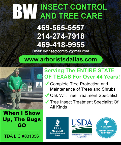 BW INSECT CONTROL & TREE CARE, TARRANT county, tx