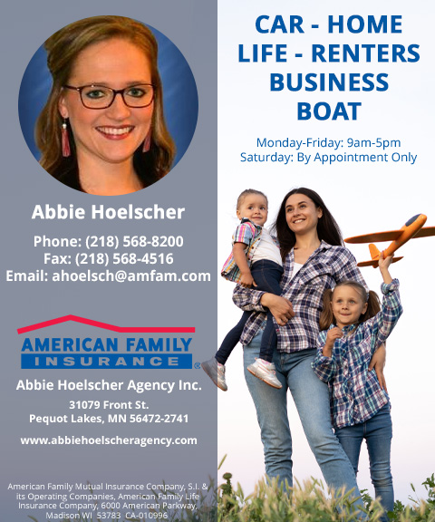 ABBIE HOELSCHER AGENCY, CROW WING county, mn