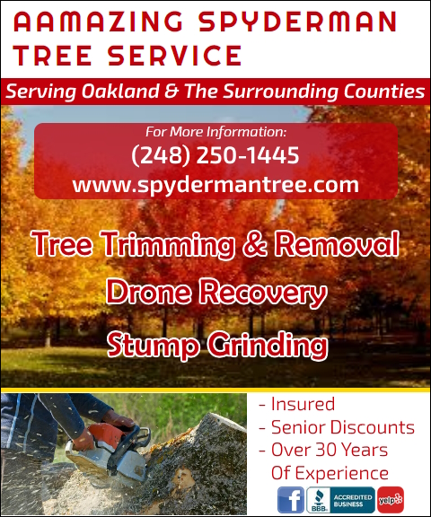 AAMAZING SPYDERMAN TREE SERVICE, MACOMB county, mi