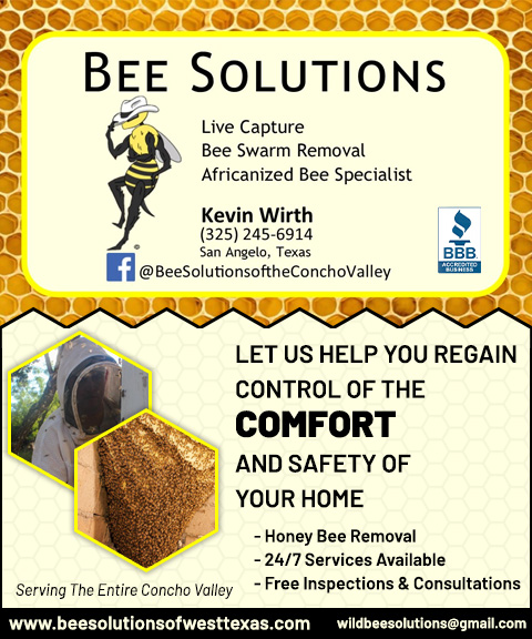 BEE SOLUTIONS, TOM GREEN county, tx