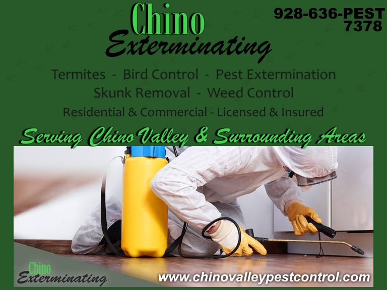 chinoexterminating CHINO EXTERMINATING, YAVAPAI COUNTY, AZ