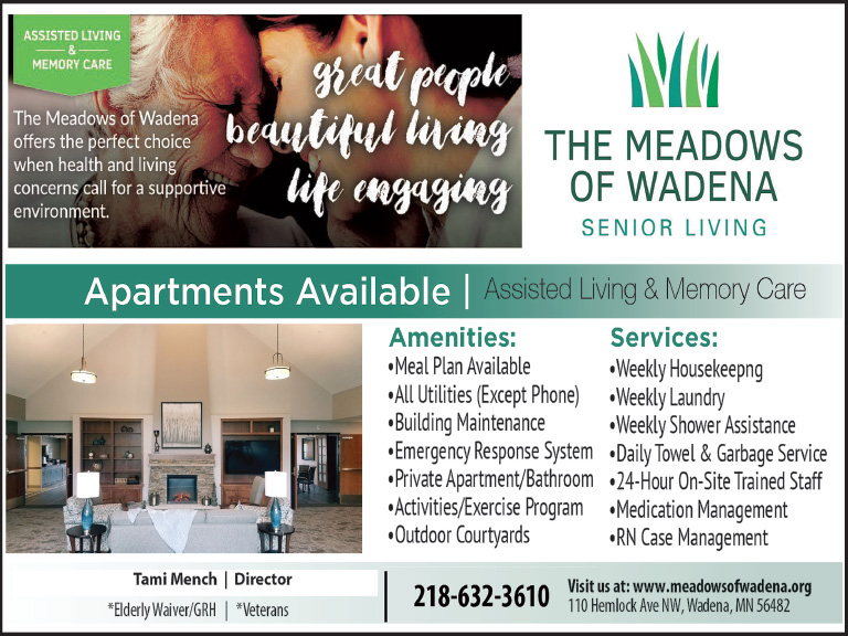 THE MEADOWS OF WADENA LLC, HUBBARD county, mn