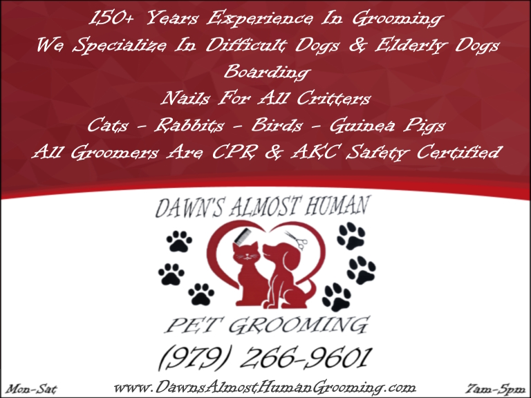 DAWN’S ALMOST HUMAN PET GROOMING, BRAZORIA COUNTY, TX