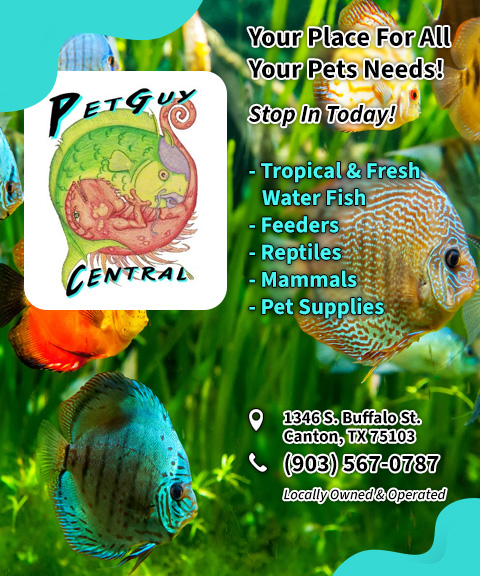 PETGUY CENTRAL, VAN ZANDT COUNTY, TX