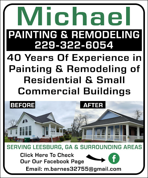 MICHAEL’S PAINTING & REMODELING, LEE COUNTY, GA