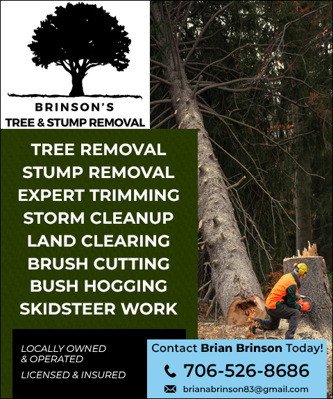 BRINSON’S TREE & STUMP REMOVAL, BURKE COUNTY, GA