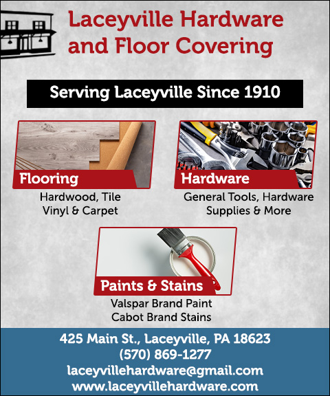 LACEYVILLE HARDWARE AND FLOOR COVERING, WYOMING COUNTY, PA