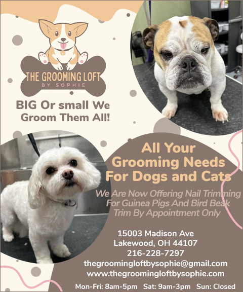 THE GROOMING LOFT BY SOPHIE, CUYAHOGA COUNTY, OH
