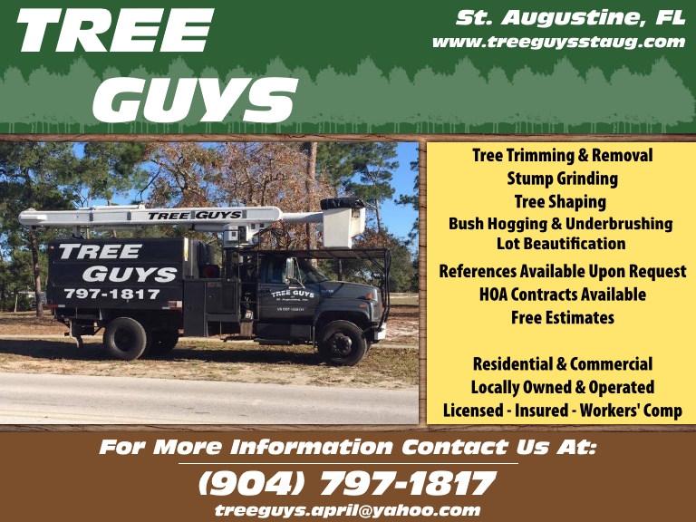 TREE GUYS OF ST. AUGUSTINE, ST JOHNS COUNTY, FL