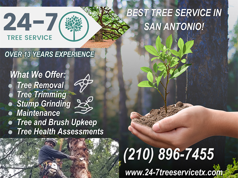24-7 TREE SERVICE, BEXAR COUNTY, TX