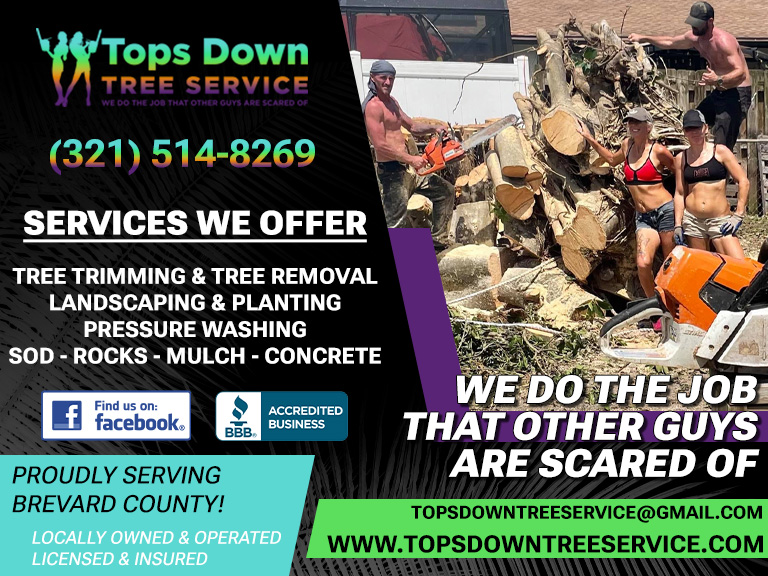 TOPS DOWN TREE SERVICE, BREVARD COUNTY, FL