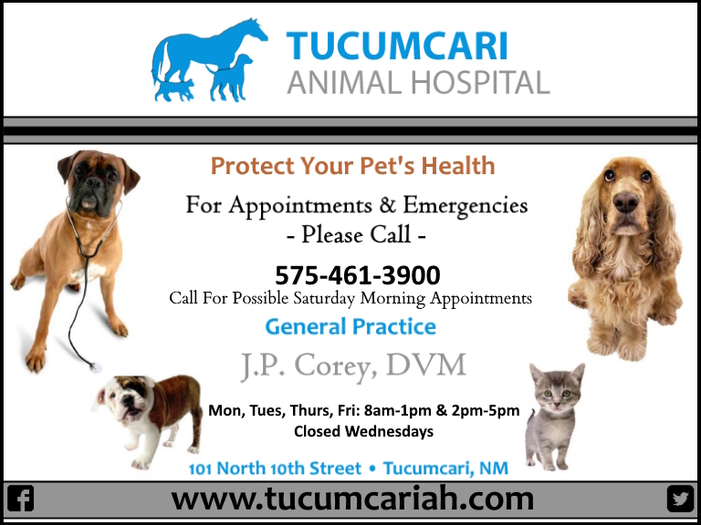 TUCUMCARI ANIMAL HOSPITAL, QUAY COUNTY, NM