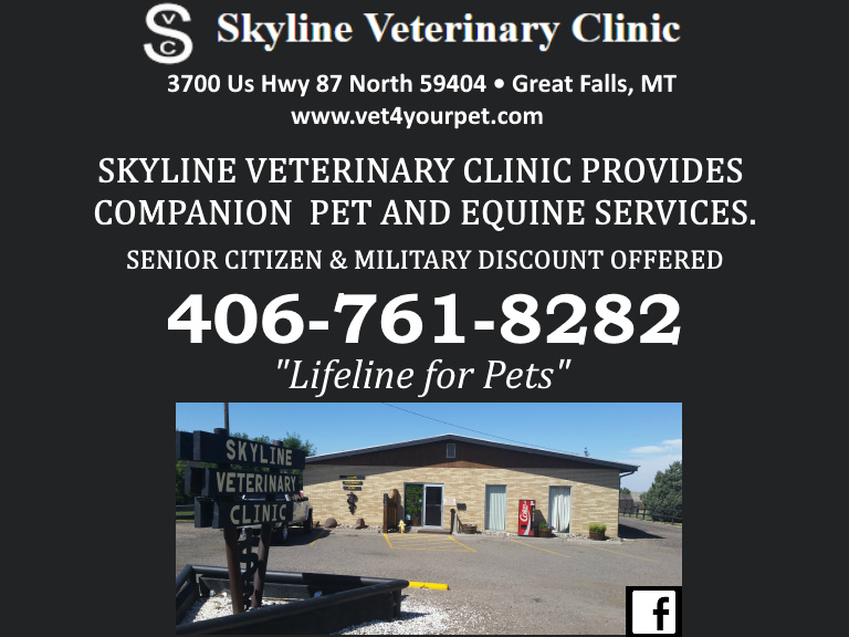 SKYLINE VETERINARY CLINIC, CASCADE COUNTY, MT