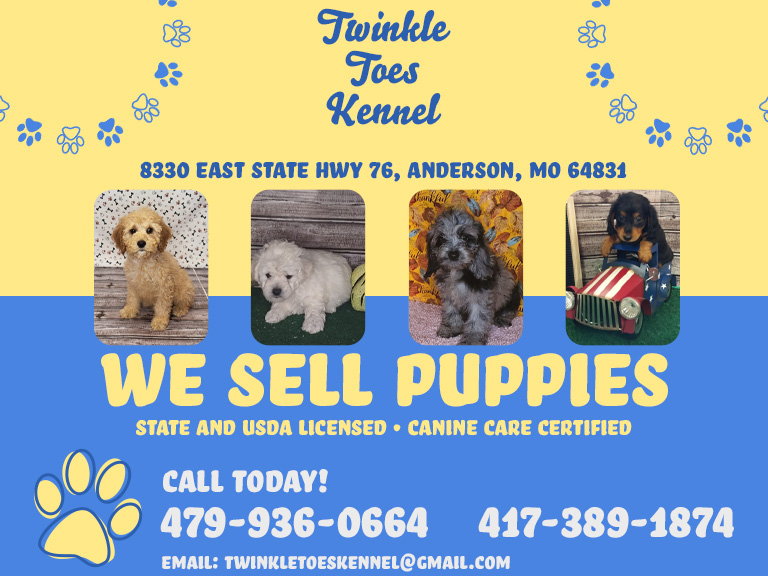 TWINKLE TOES KENNEL, MCDONALD COUNTY, MO