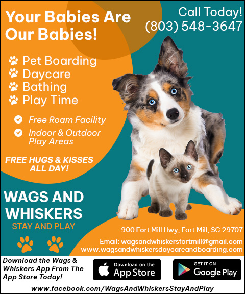 WAGS AND WHISKERS STAY AND PLAY, YORK COUNTY, SC