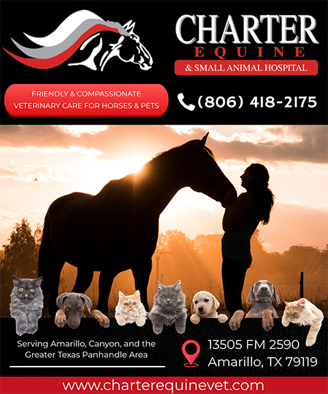 CHARTER EQUINE & SMALL ANIMAL HOSPITAL, Randall County, TX