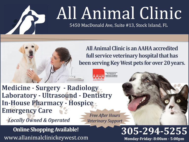 allanimalclinic ALL ANIMAL CLINIC, MONROE COUNTY, FL