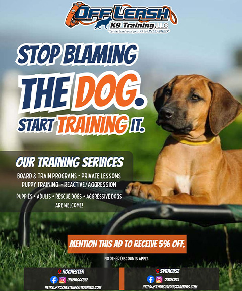 OFF LEASH K9 ROCHESTER, ONONDAGA COUNTY, NY