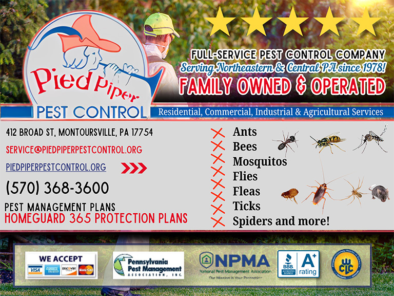 pied piper pest control, lycoming county, pa