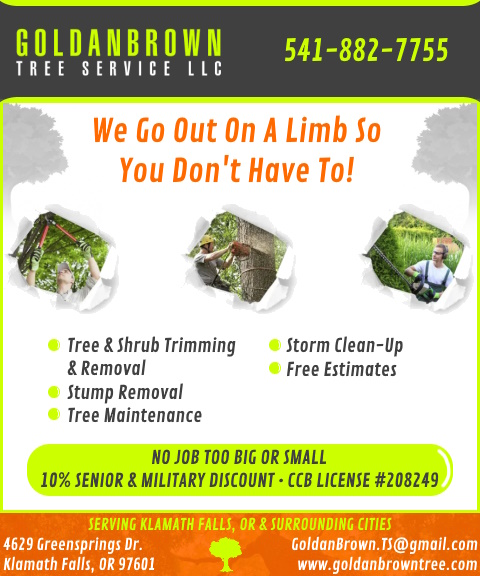 goldanbrowntree GOLDANBROWN TREE SERVICE, KLAMATH COUNTY, OR
