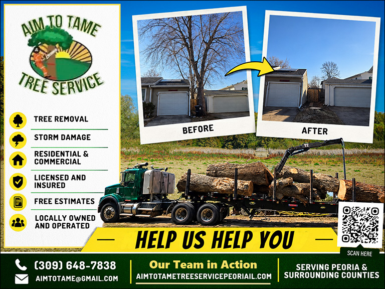 AIM TO TAME TREE SERVICES, PEORIA COUNTY, IL