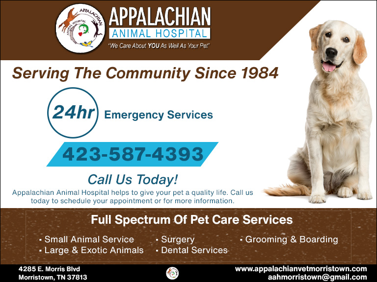 APPALACHIAN ANIMAL HOSPITAL, HAMBLEN COUNTY, TN
