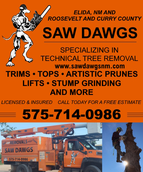 SAW DAWGS, CURRY COUNTY, NM