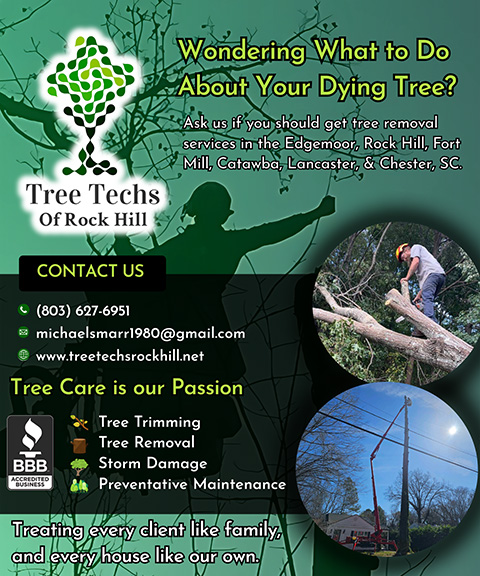 TREE TECHS OF ROCK HILL, CHESTER COUNTY, SC