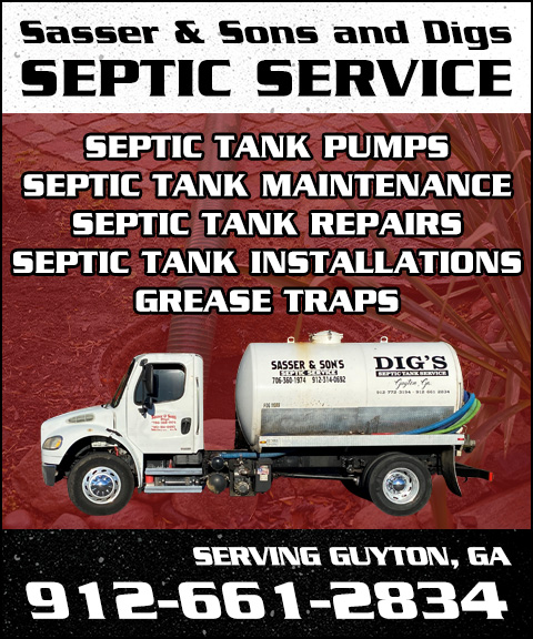 DIGS SEPTIC TANK SERVICES, EFFINGHAM COUNTY, GA