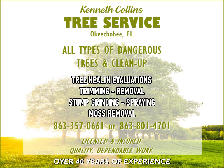 kennethcollinstree KENNETH COLLINS TREE SERVICES, OKEECHOBEE COUNTY,FL